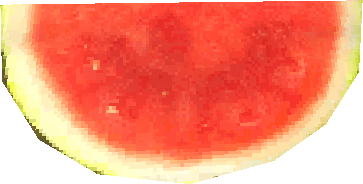 Item WatermelonSlice Ingame Transparent.png