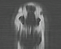 Signal Hairy Image.png