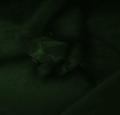 Cave InGame RadioactiveCrystal NightVision.png
