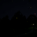Entity Fireflies.png
