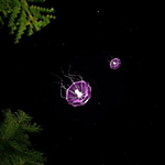 Event SpaceJellyfish.png